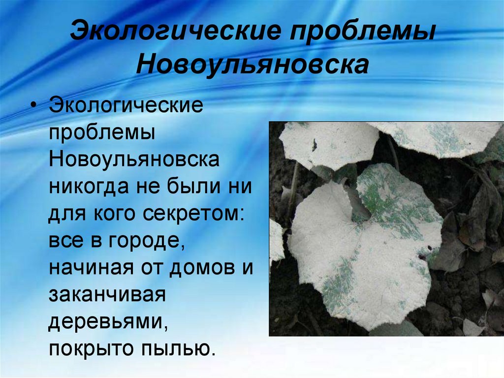 Экологические проблемы Новоульяновска