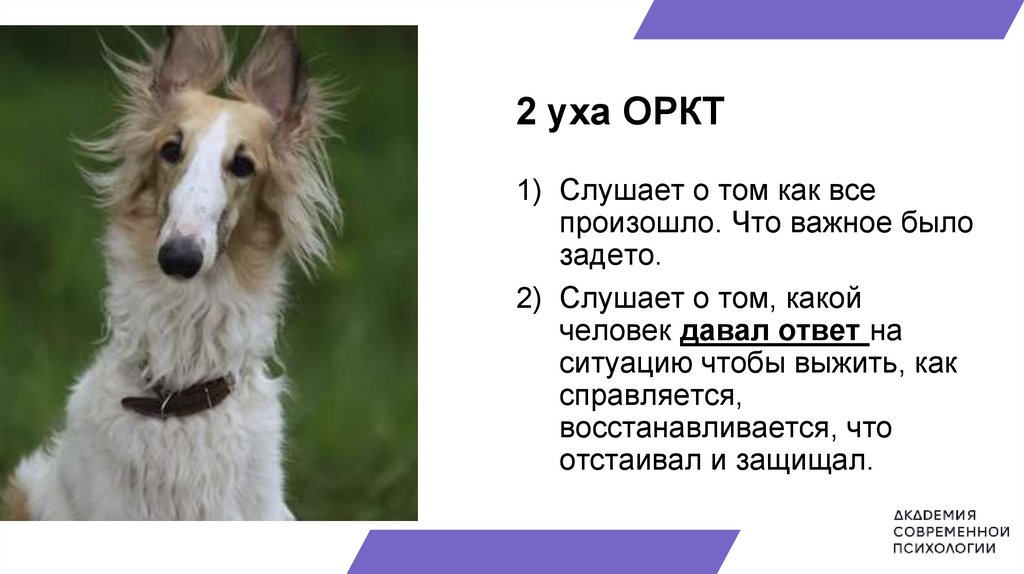 Ориентированная на решение краткосрочная терапия (ОРКТ) - презентация ...