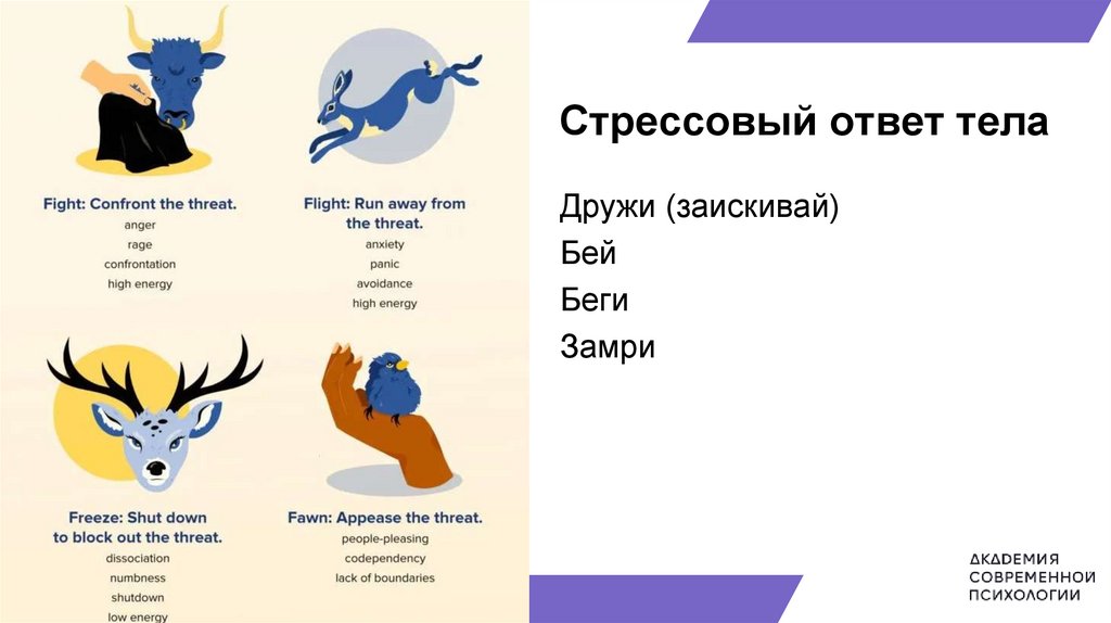 Ориентированная на решение краткосрочная терапия (ОРКТ) - презентация ...