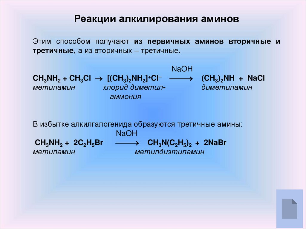 Аминокислоты и амины презентация