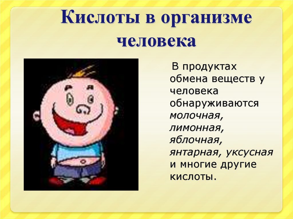 Кислоты в организме человека