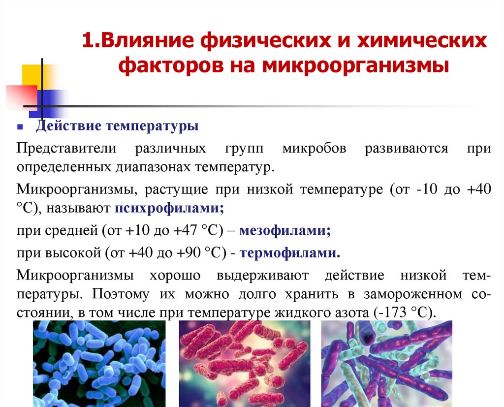 Химические факторы механизм действия. Влияние физических факторов на микроорганизмы. Влияние физических и химических факторов на микроорганизмы. Химическая Асептика. Физическая Асептика.