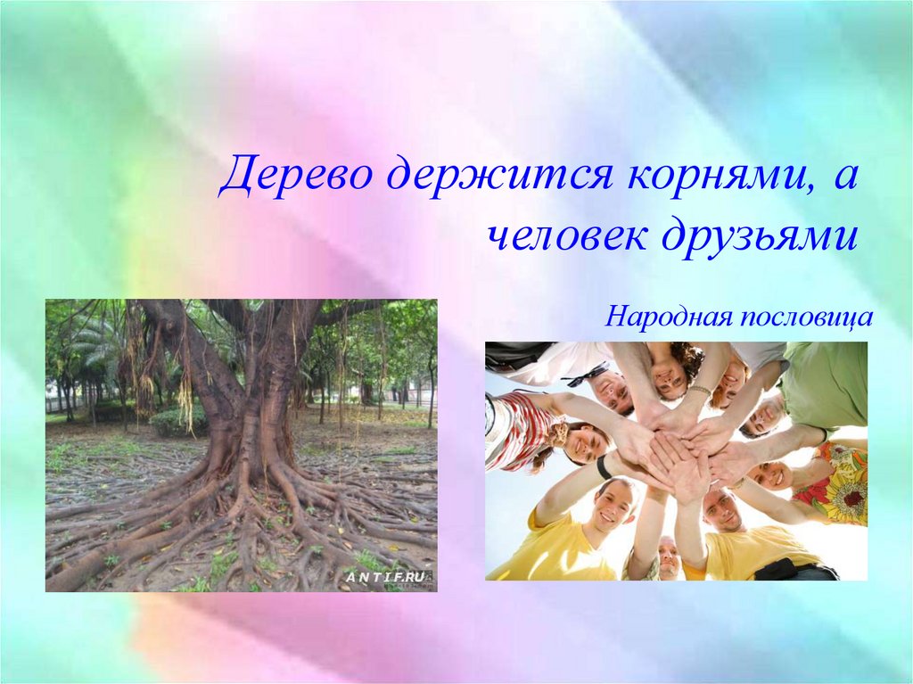 Пословицы о корнях человека. Дерево держится корнями а человек друзьями. Пословица дерево держится корнями. Дерево крепко корнями а человек друзьями. Пословица дерево держится корнями а человек друзьями.