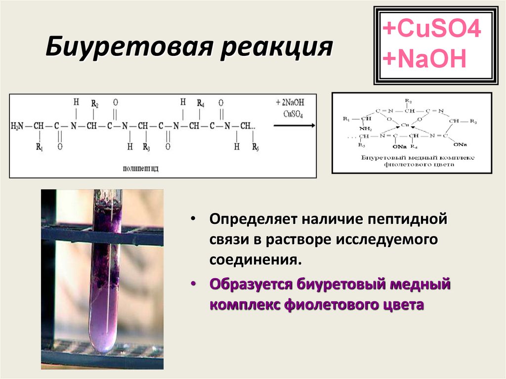 Биуретовая реакция. Биуретовая реакция с глицином. Отрицательная биуретовая реакция. Биуретовая реакция белок реакция. Nh2 это донорно-акцепторная связь.