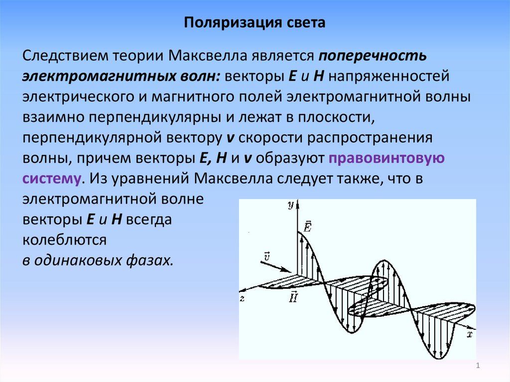 Поляризованный свет аппараты. Поляризация света презентация.