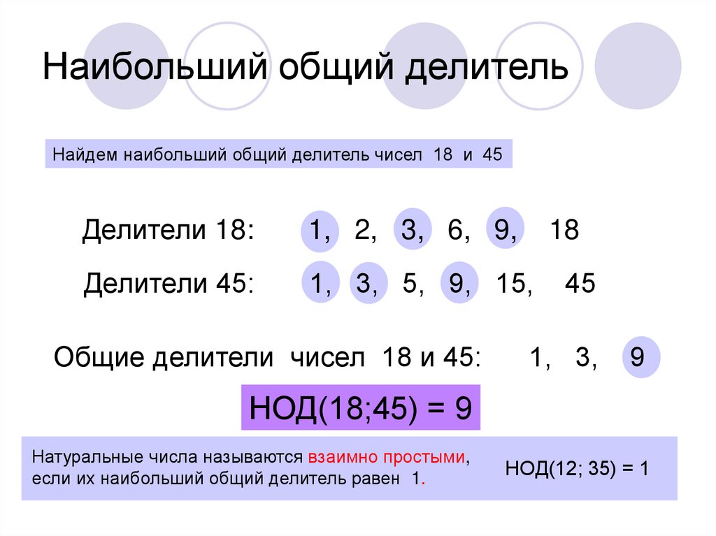 Какие могут быть делители числа 1