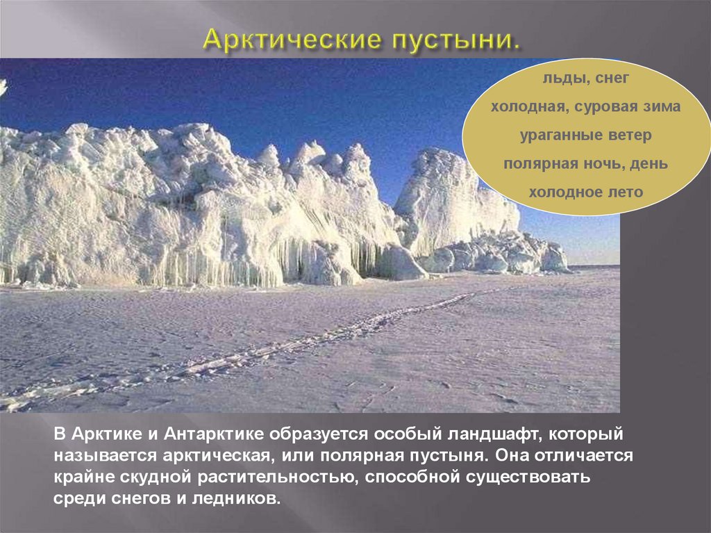Природные зоны земли биология 5. Природная зона арктических пустынь.