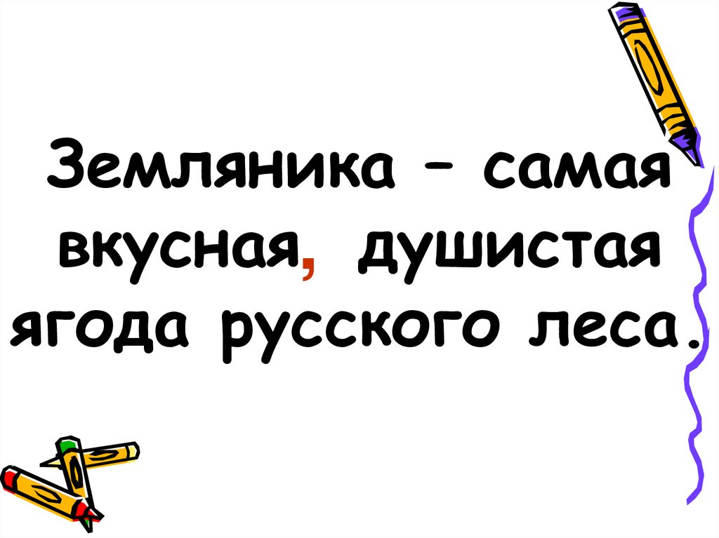 Земляника – самая вкусная душистая ягода русского леса.