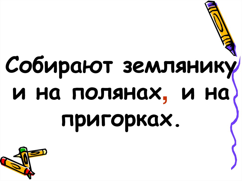 Собирают землянику и на полянах и на пригорках.