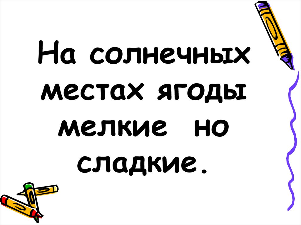 На солнечных местах ягоды мелкие но сладкие.