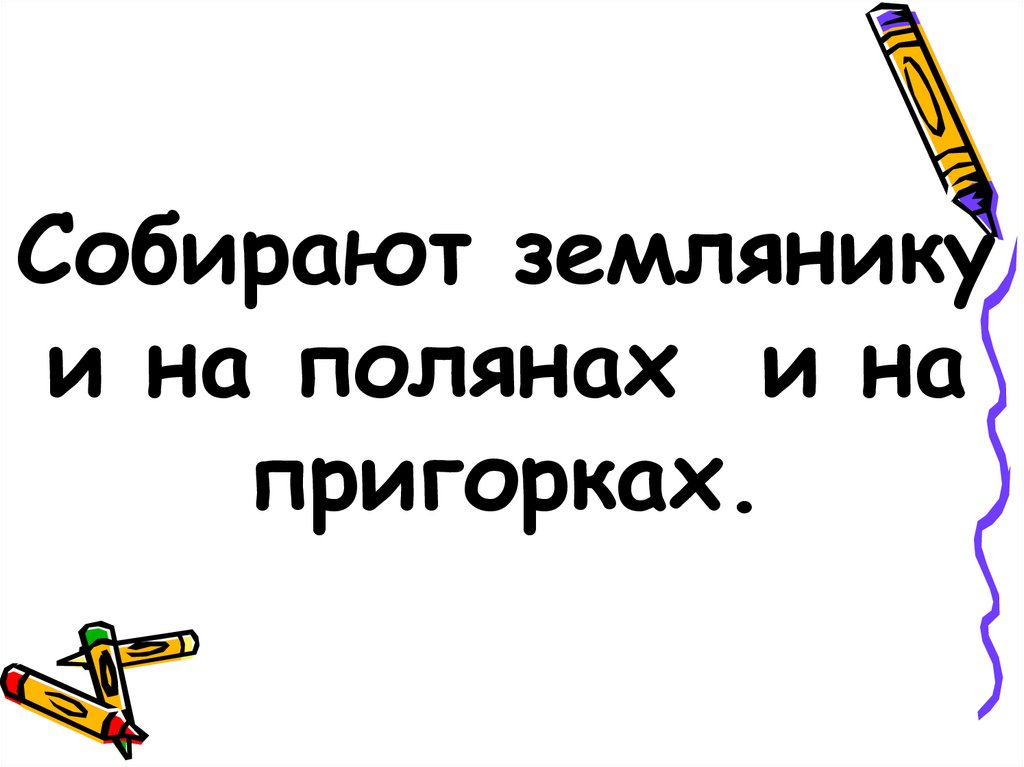 Собирают землянику и на полянах и на пригорках.
