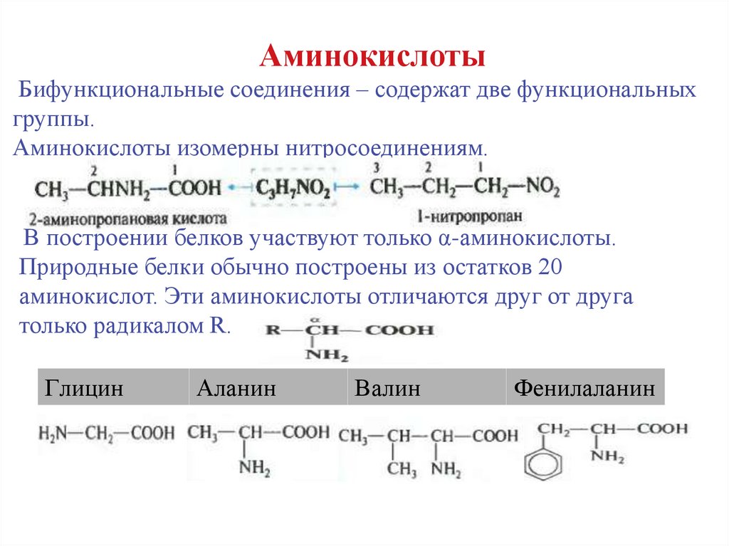 Что общего в полученных веществах. Амины амиды аминокислоты. Амины химия 10 класс конспект. Амины аминокислоты сравнительная таблица. Аминокислота + Амин.