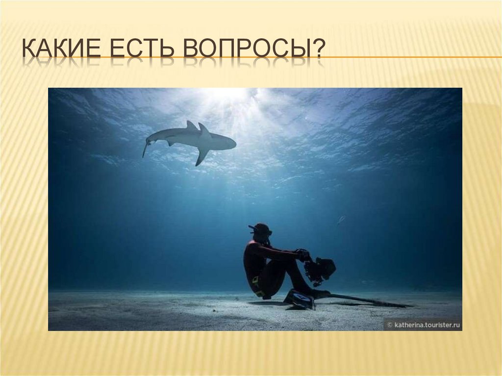 Какие есть вопросы?