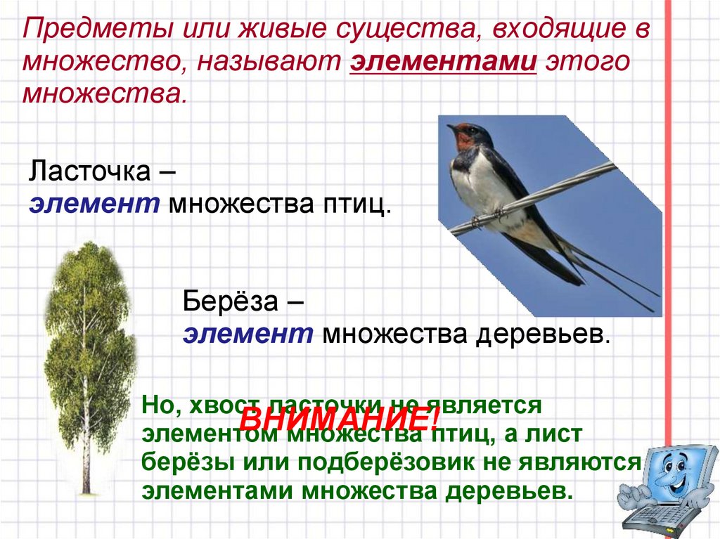 Входящие множества. Множество и его элементы 3 класс. Ласточка элемент множества птиц. Множество и его элементы презентация. Множество птиц как называется.