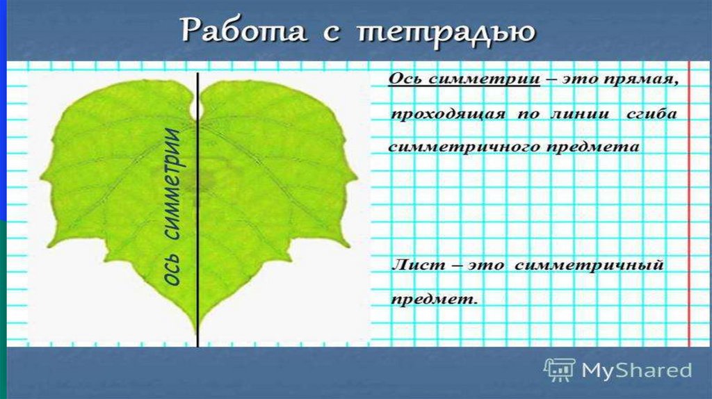 Ось симетрии - online presentation
