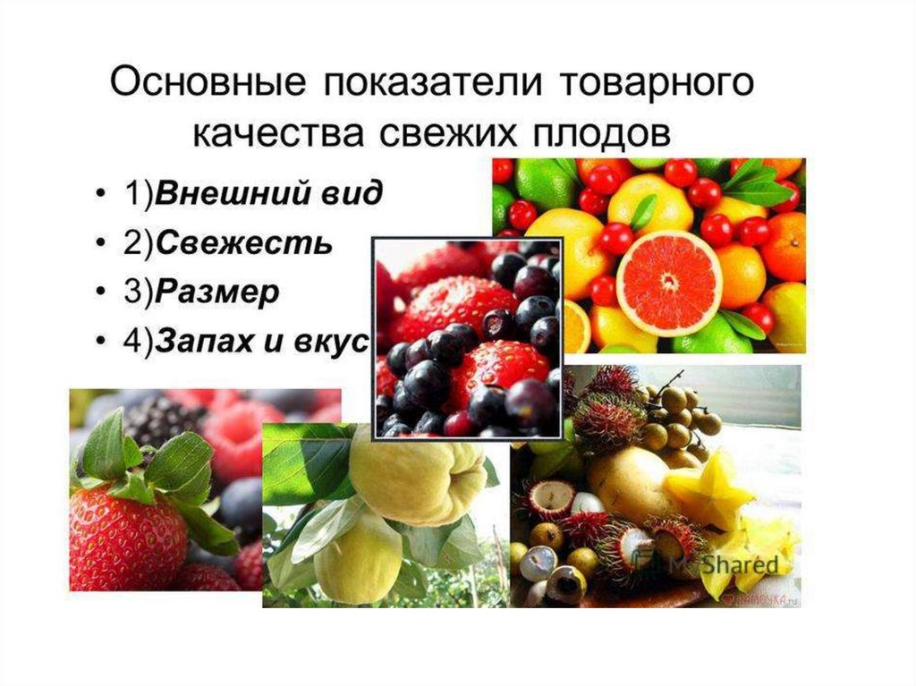 Оценка качества основных продуктов. Характеристика показателей качества овощей и плодов. Оценка качества свежих овощей. Требование к качеству свежих плодов и ягод. Оценка качества плодов и овощей.