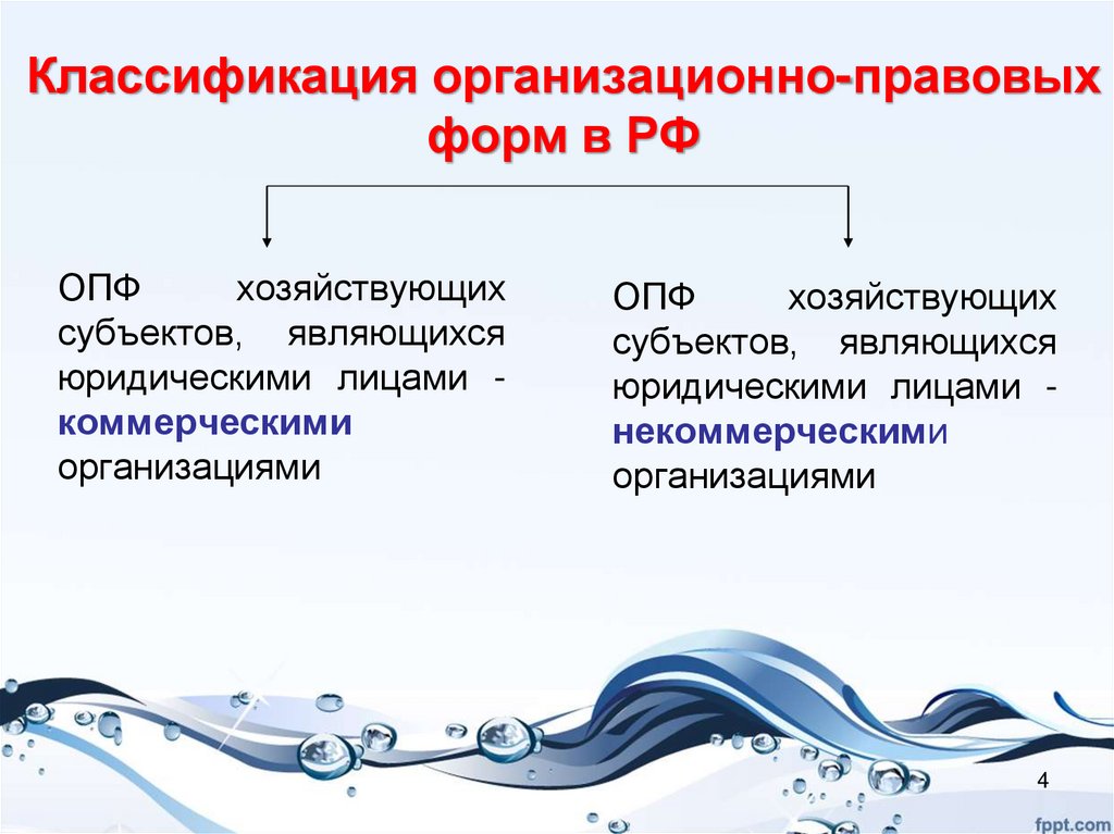 Классификация организационно-правовых форм в РФ