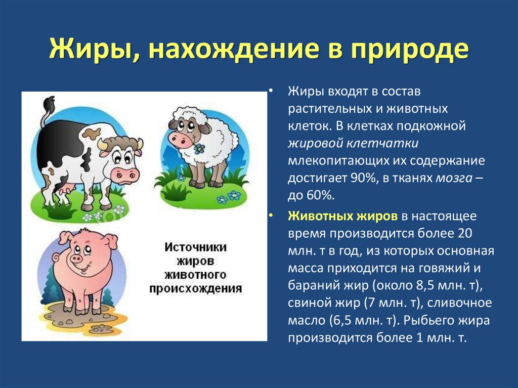 Жиры в природе. Жиры нахождение в природе. Нахождение в природе животных жиров. Жиры нахождение в природе химия. Нахождение в природе растительных жиров.