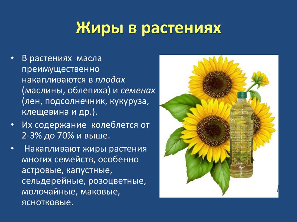 Жиры в растениях