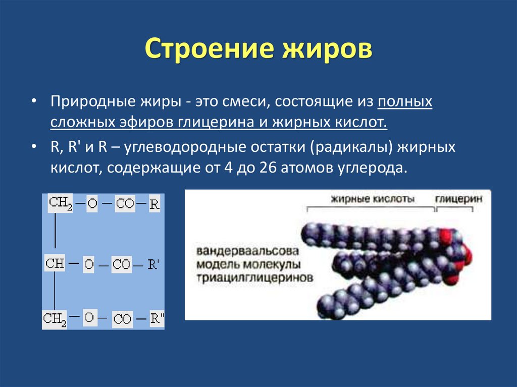 Строение жиров