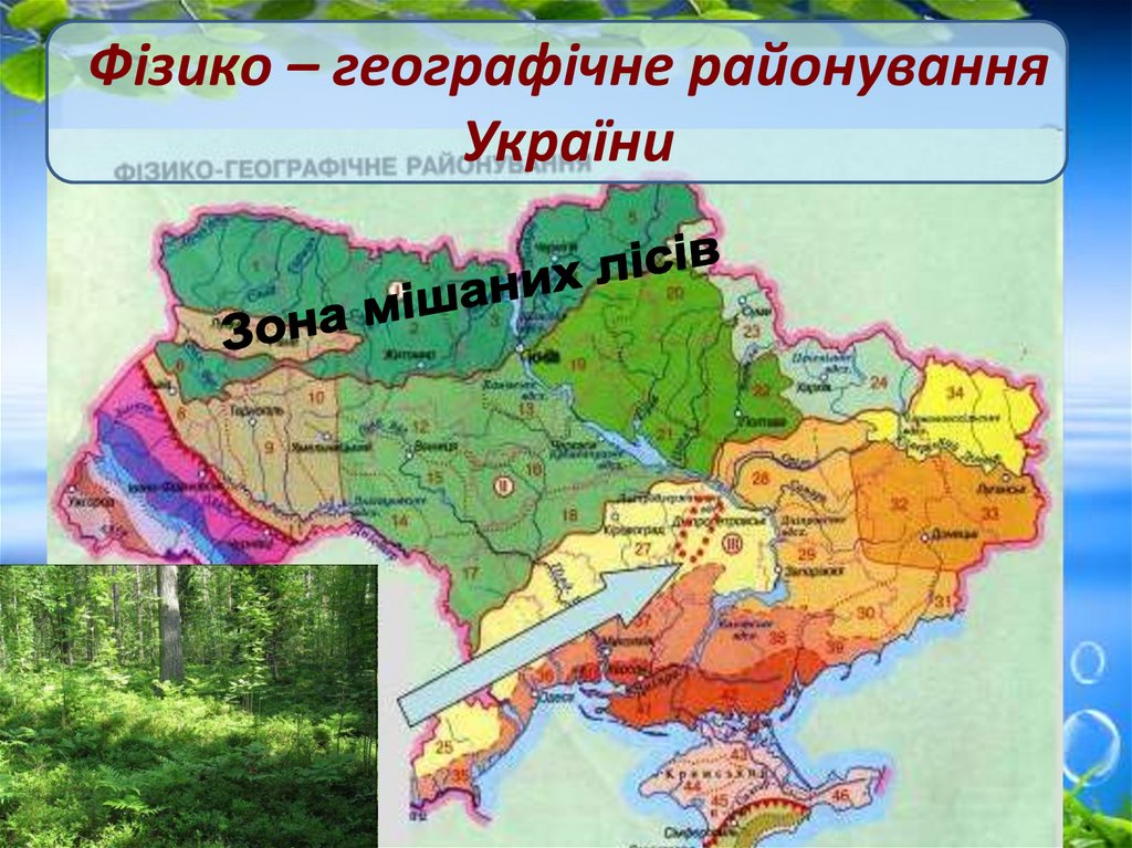 Фізико – географічне районування України