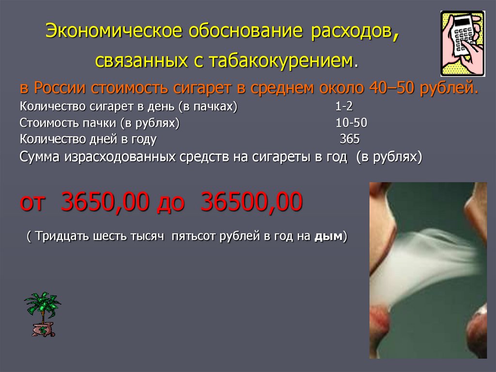 Экономическое обоснование расходов, связанных с табакокурением.