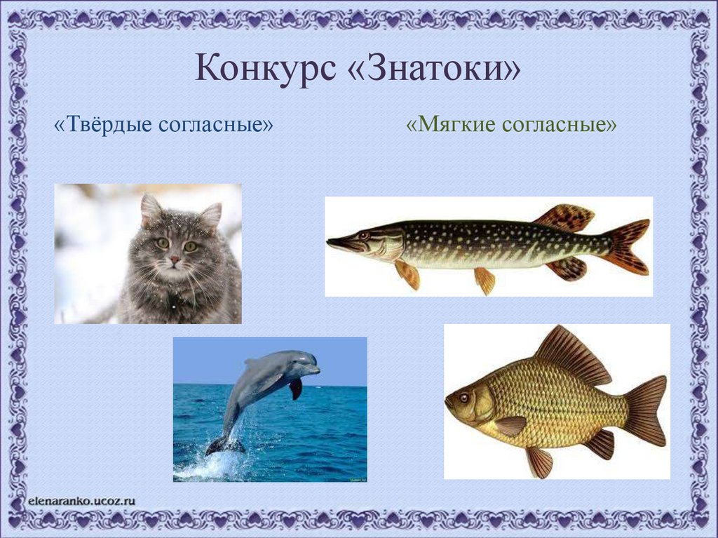 Конкурс «Знатоки»