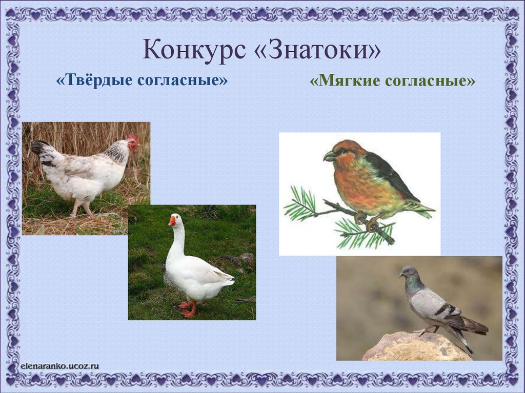 Конкурс «Знатоки»