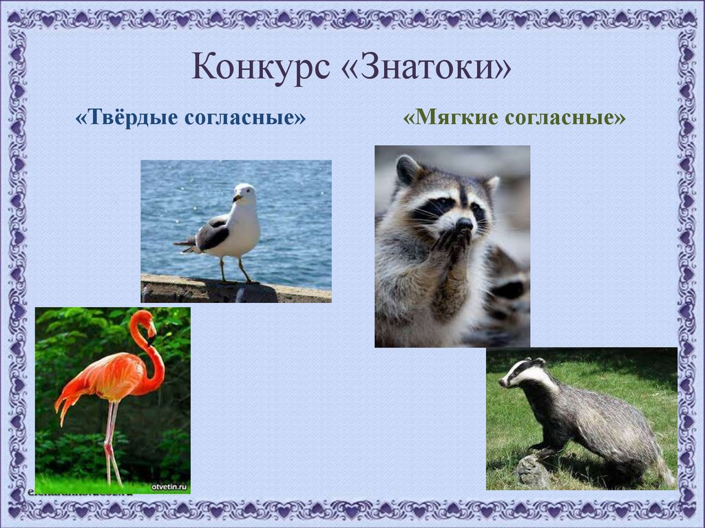 Конкурс «Знатоки»