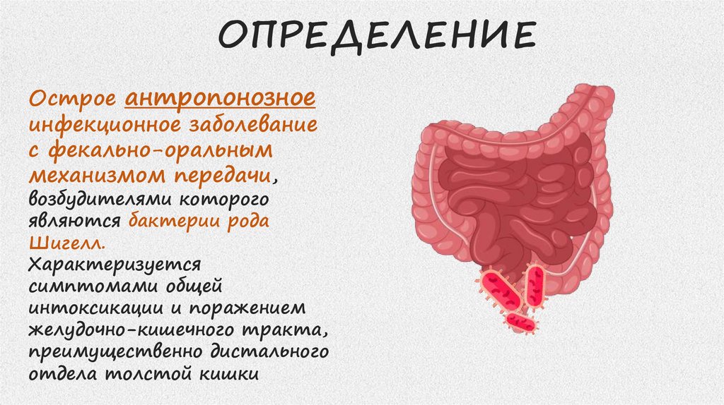 Брюшной тиф эпидемиология презентация