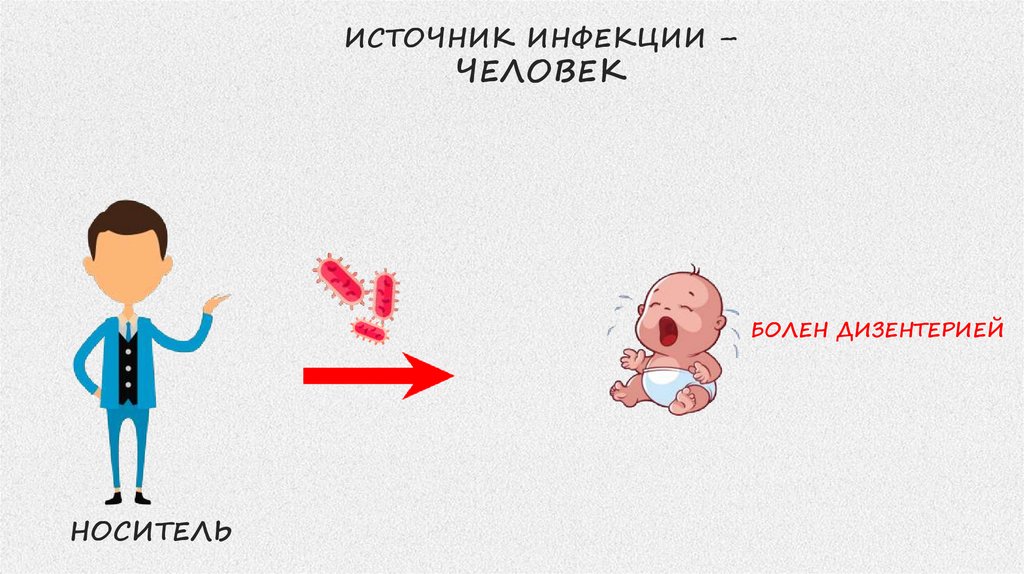 Брюшной тиф (урок 2) - презентация онлайн