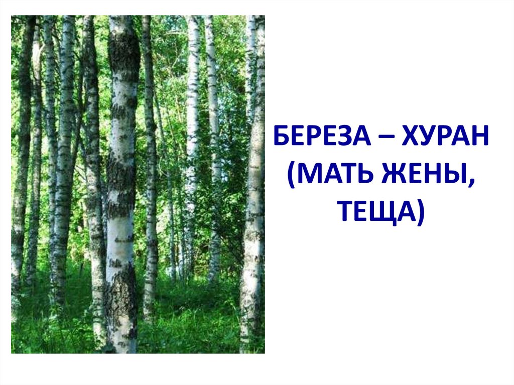 БЕРЕЗА – ХУРАН (МАТЬ ЖЕНЫ, ТЕЩА)