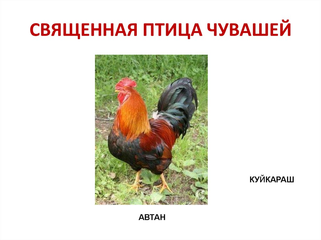 Духи и живые существа светлого мира - презентация онлайн