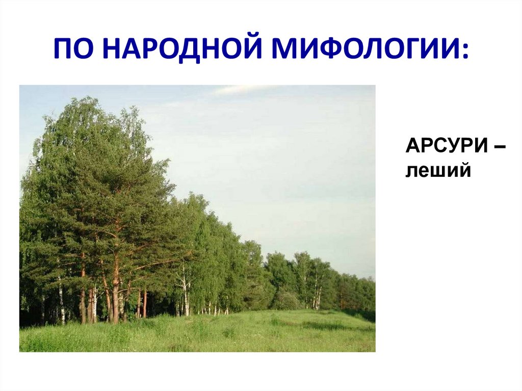 ПО НАРОДНОЙ МИФОЛОГИИ: