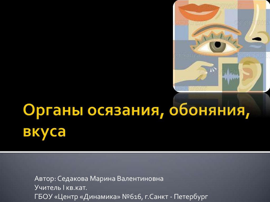 Орган осязания обоняния и вкуса таблица. Психофизиология вкуса презентация.