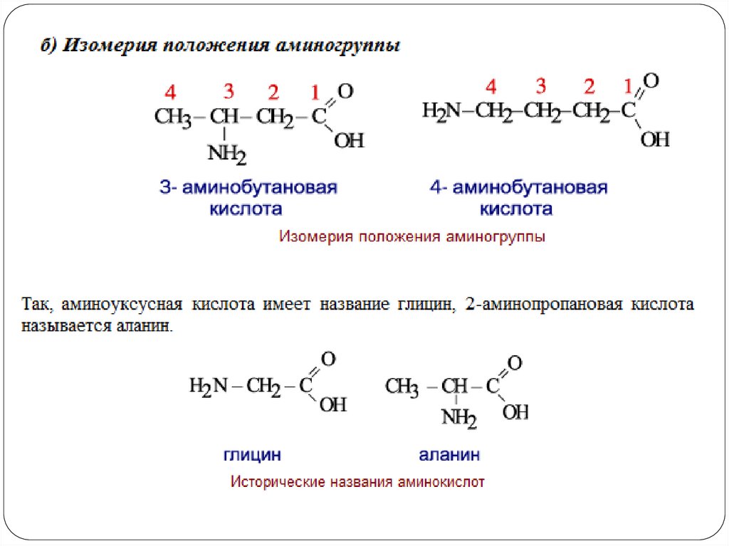 Аминокислоты. По химии 11 класс - презентация онлайн