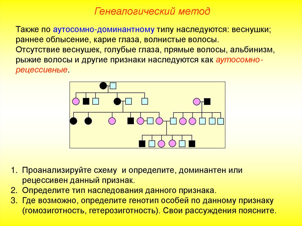 Карий цвет глаз доминантный признак. Генеалогический метод аутосомно доминантный. Генеалогический метод карие глаза. Генеалогический метод цвет волос. Родословная генетика цвет глаз.