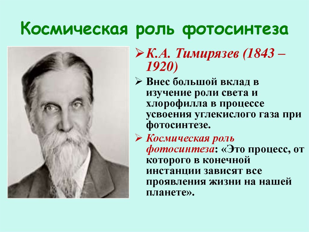 К А Тимирязев фотосинтез 1869. Тимирязев открытие фотосинтеза. Что такое космическая роль растений