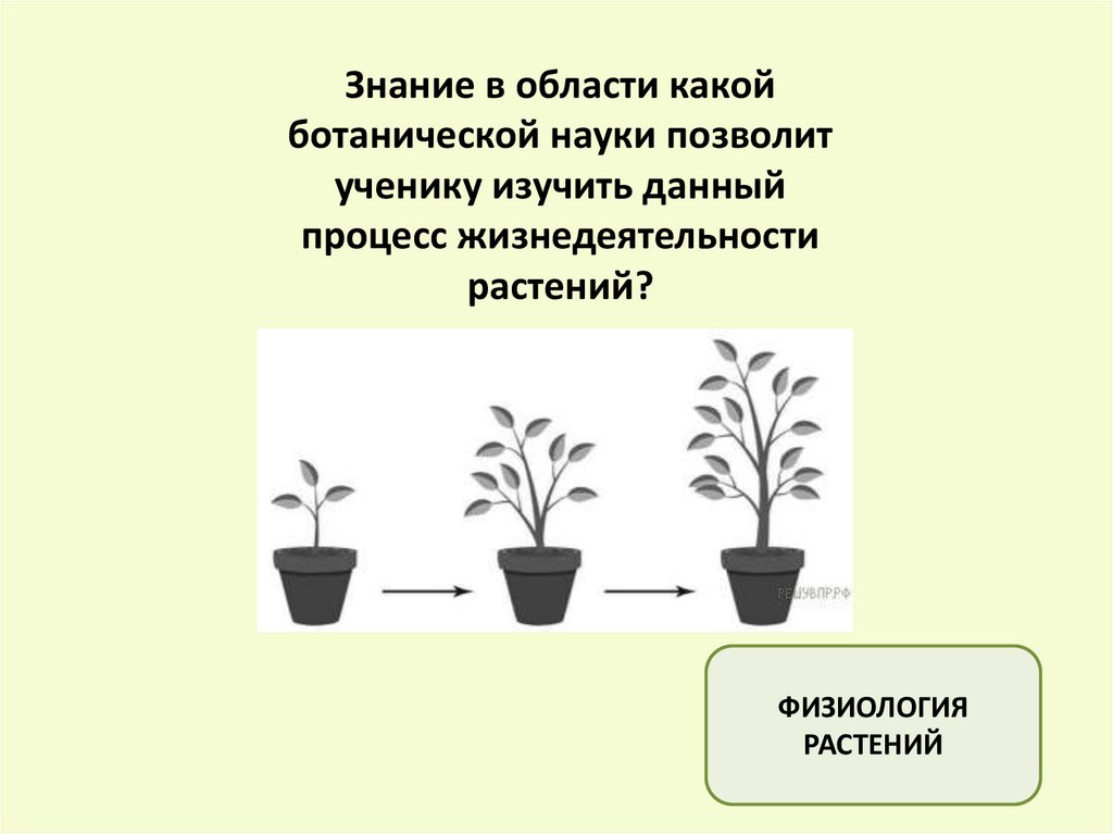 Впр по биологии 6 класс задание 9