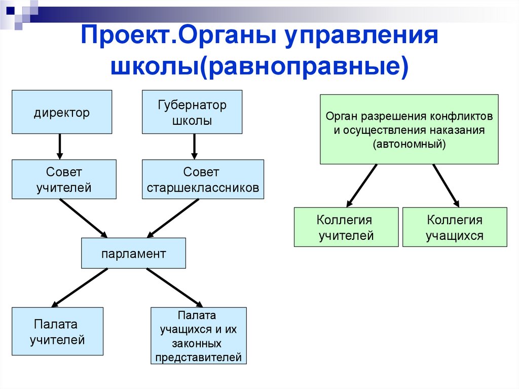 Понятие и виды проектов в органах власти