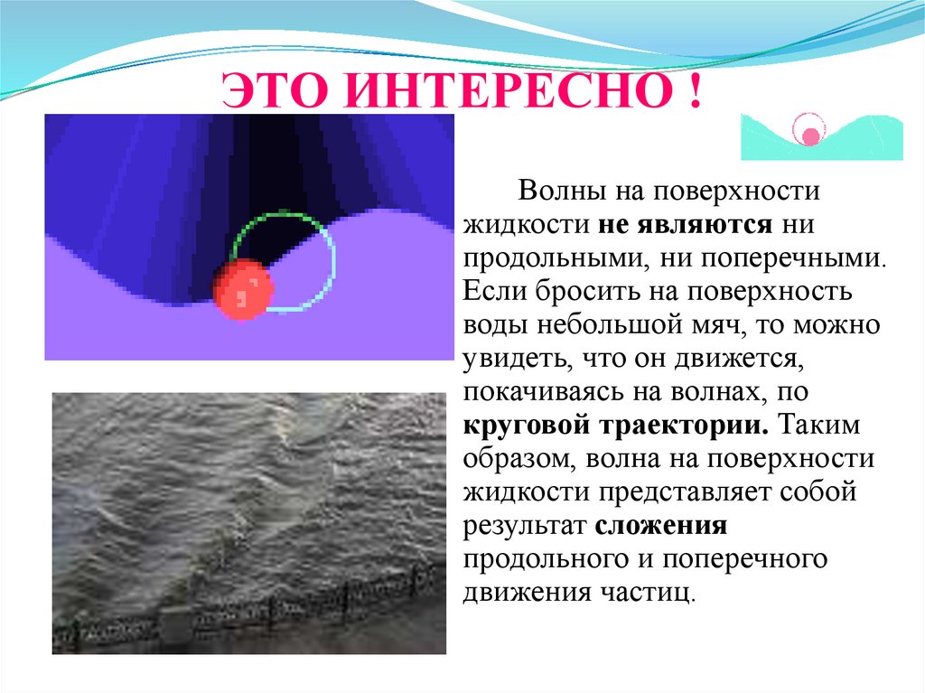 Какие волны существуют в природе. Типы волн. Волны на поверхности жидкости. Виды механических волн. Механические волны.