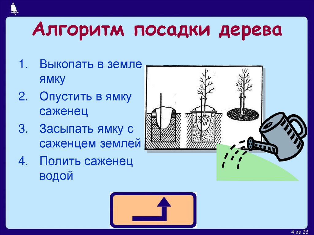 Тебе нужно посадить дерево составь план своих действий для этого выбери из