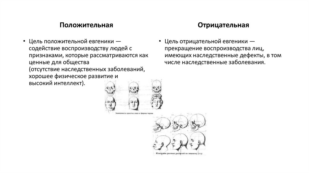 Евгеника - презентация онлайн