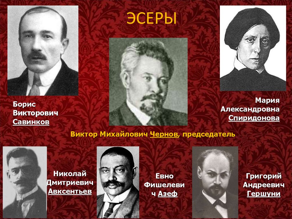 Партия социалистов революционеров либеральная. Программа эсеров. Эсеры картинки кайзерредукс.