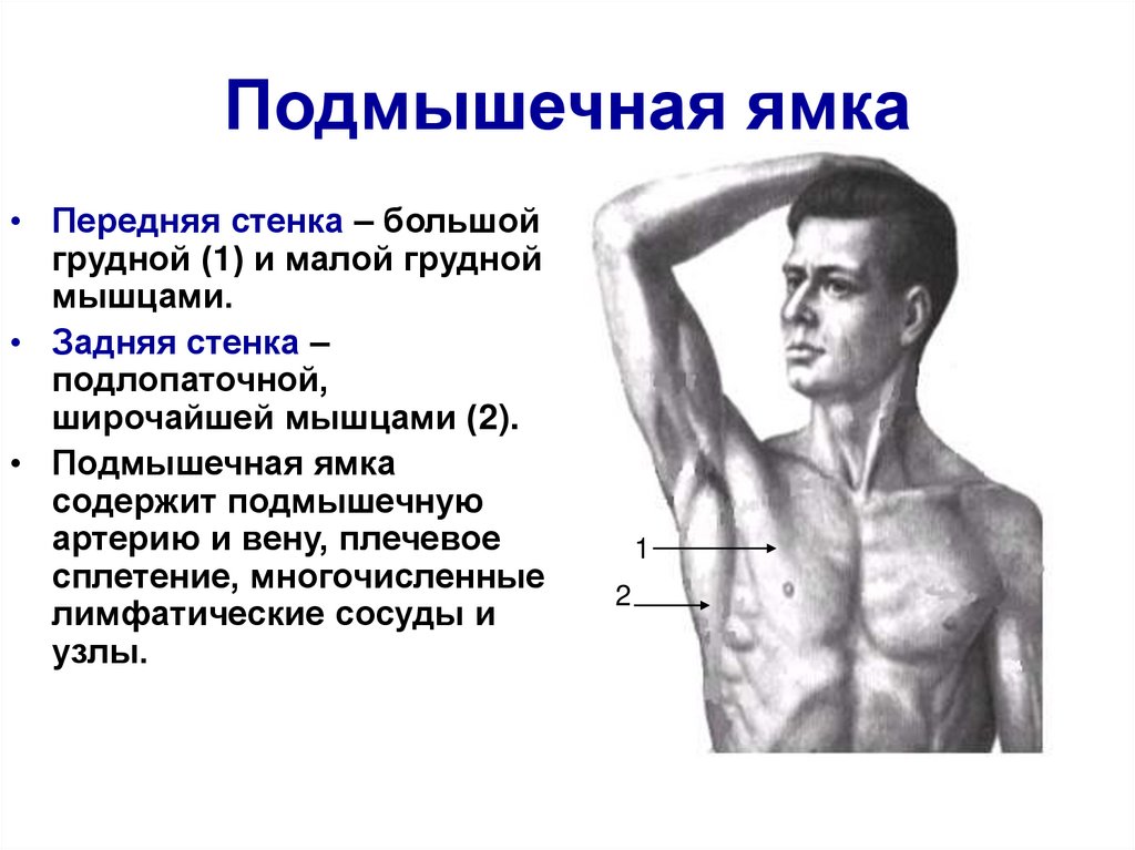 Подмышечная область анатомия. Подмышечная полость схема. Стенки подмышечной ямки топографическая анатомия. Задняя стенка подмышечной ямки топографическая анатомия. Топографическая анатомия подмышечной впадины схема.