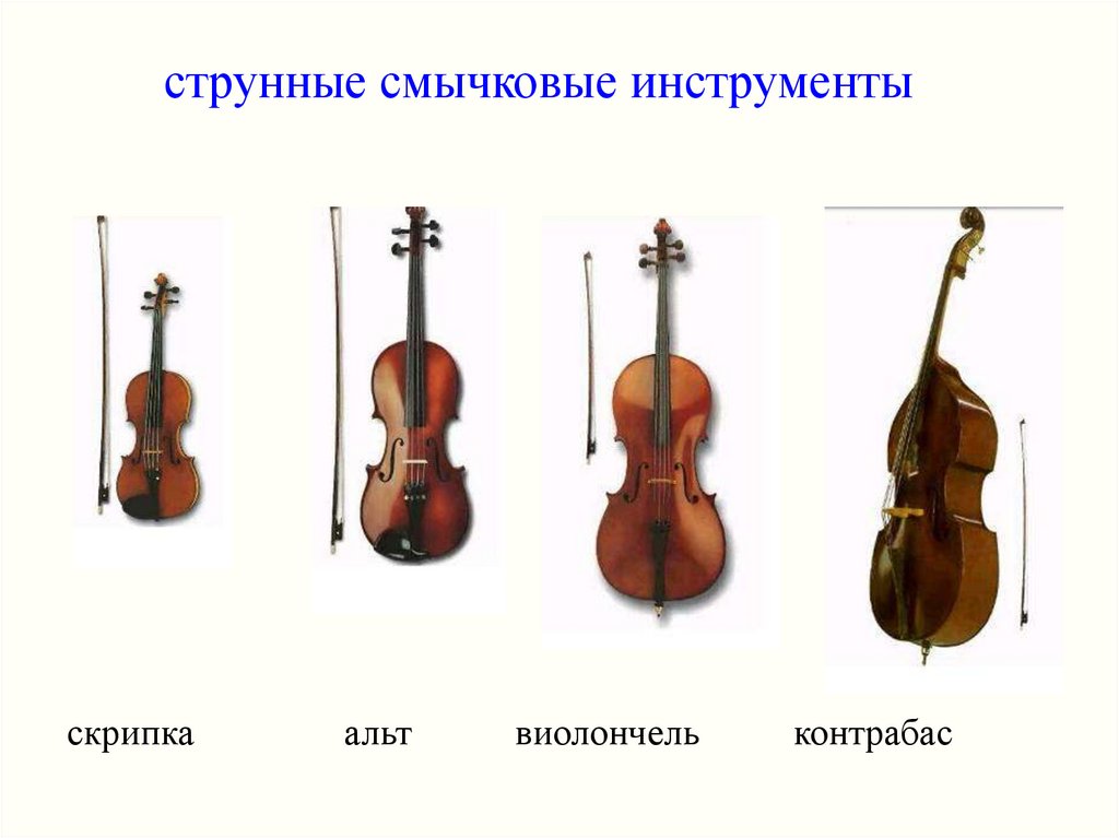 К струнным музыкальным инструментам относятся. Струнные смычковые инструменты скрипка Альт виолончель контрабас. Струнные смычковые и Щипковые инструменты. Струнно смычковые инструменты названия. Группа струнно смычковых инструментов.