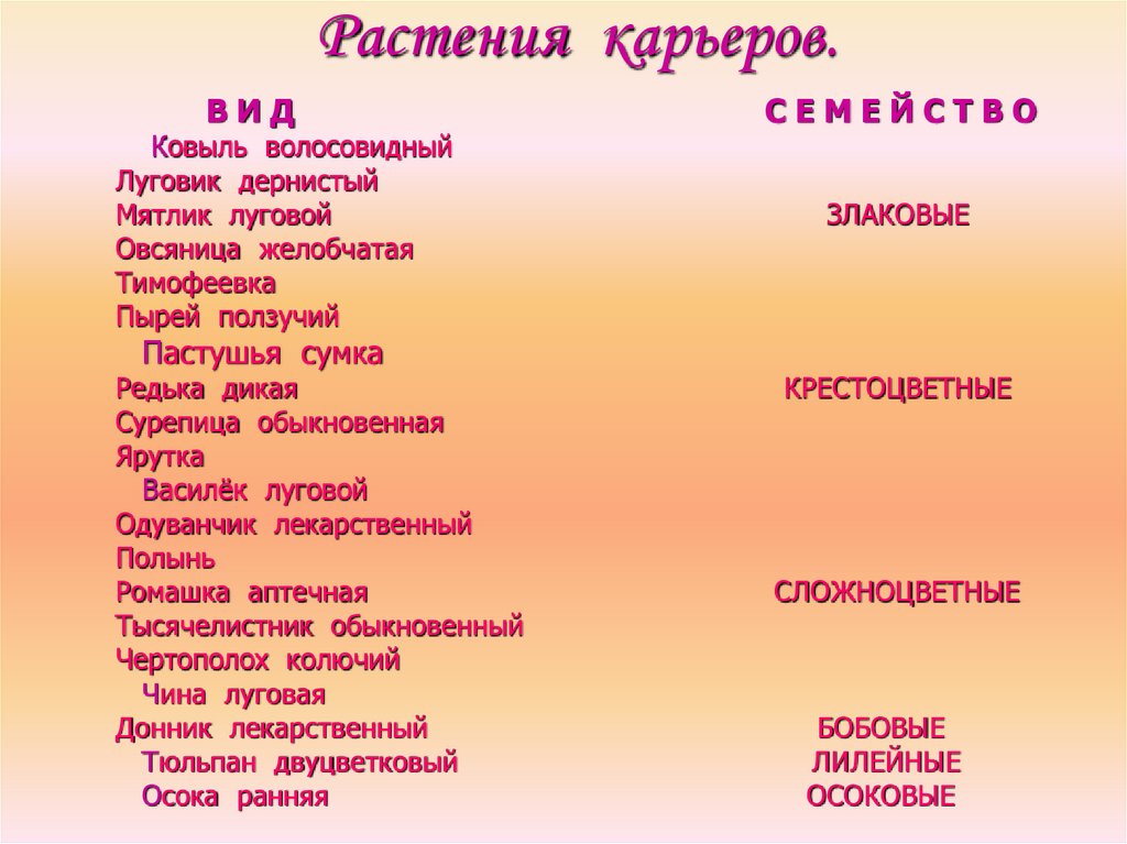Растения карьеров.