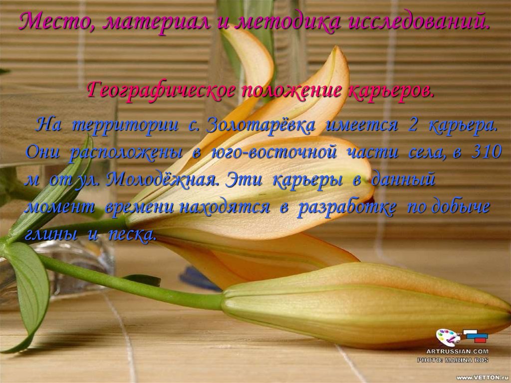 Место, материал и методика исследований.