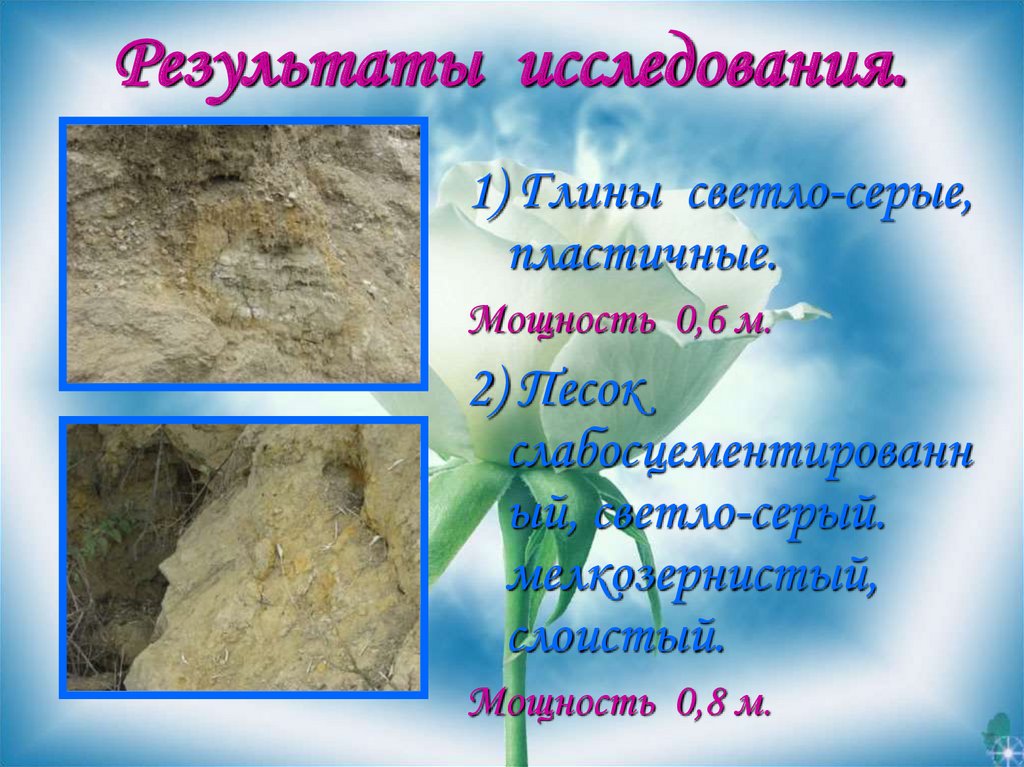 Результаты исследования.