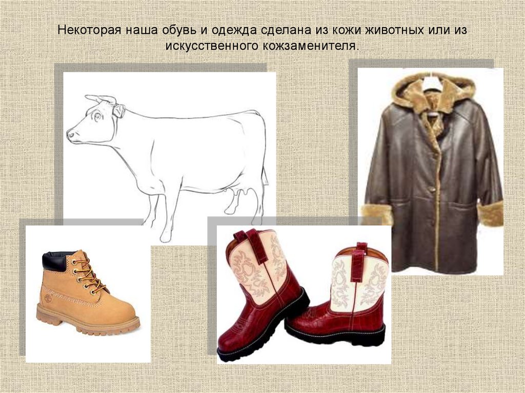 Одежда и обувь из кожи животных. Предметы одежды и обуви. Одежда и обувь из шкур животных. Животные, одежда, предметы. Обувь окружающий мир